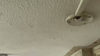 IMG 6429 06:48 15 JULY 2026 BANNING MY CEILING