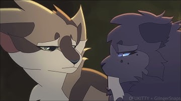 Warrior cats edit: don’t let me down.