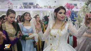 حفلات كوباني زفاف العروسين دلوفان ❤️ مزكين من اهالي قرية مشكو اقيم الحفل في صالة الفرات رقم (5)