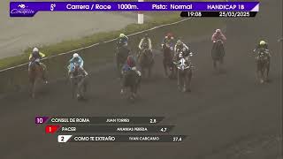 Vidéo de la course PMU PEPONIA