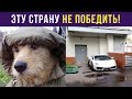 Приколы. ЭТУ СТРАНУ НЕ ПОБЕДИТЬ! | Мемозг #111