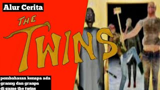 Alur Cerita The Twins