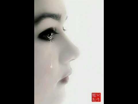 ياسر عبد الوهاب قلبي جبرني خلف الله على قلبي ميخليني اعوفك