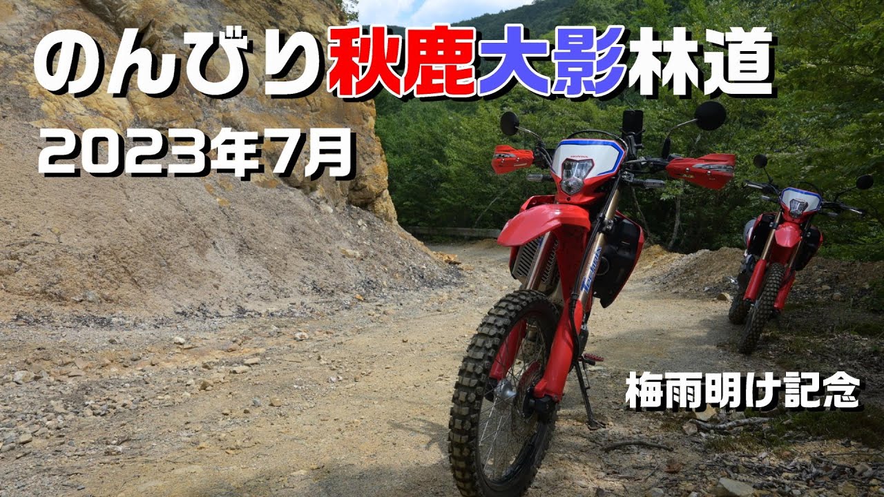 【CRF250Ls】CRF仲間とのんびり秋鹿林道【2023年7月 秋鹿大影林道】