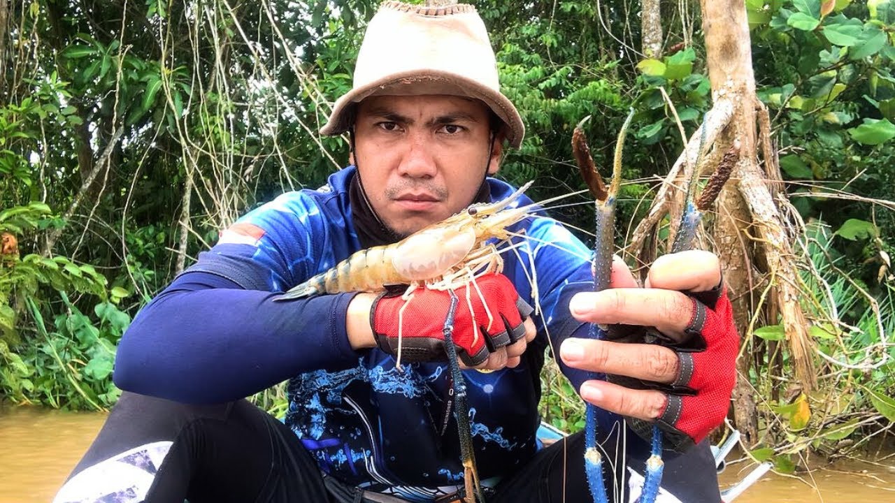 SELURUH TUBUH BERGETAR SEMUA ! UDANG RAKSASA SUNGAI KAPUAS BERHASIL DI PANCING, MANCING UDANG GALAH