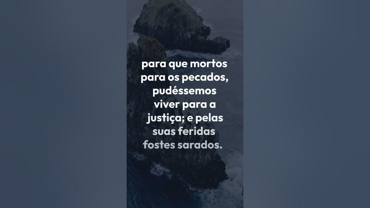 palavra-do-dia-1-pedro-2-24-shorts-versiculos-youtube