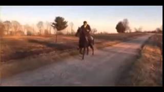 Suzie Q Single footing Racking Rocky Mountain Mare