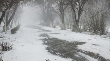 💨 Winter Storm Ambience with Howling Blizzard and Drifting Snow on an Abandoned Road in Norway.