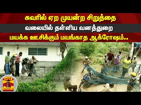 சுவரில் ஏற முயன்ற சிறுத்தை.. வலையில் தள்ளிய வனத்துறை... மயக்க ஊசிக்கும் மயங்காத ஆக்ரோஷம்.. | Leopard