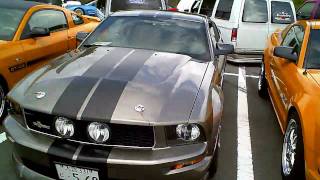 Ford Is Alive In Japan