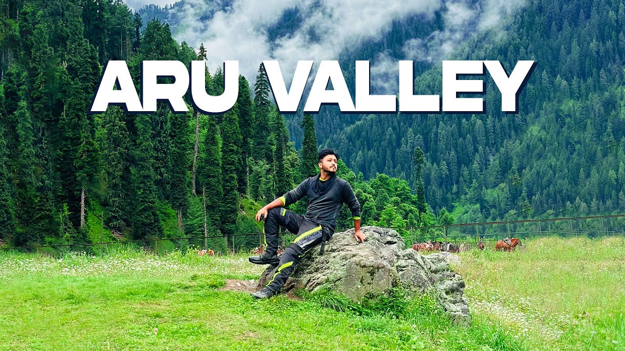 Aru Valley Kashmir - কাশ্মীর গিয়া যা দেকলাম - Ladakh Ride 👍 Episode - 6 #ladakh