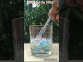 Osmosis in orbeez / class 9th/ #class9th #chemistry