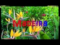TitusE- Madeira 2017