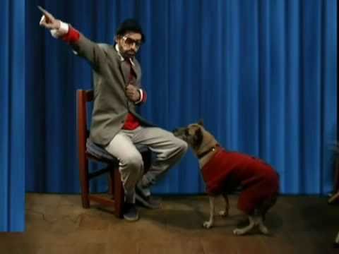 YPQ TV: Es Inutil - 007 - Adiestramiento Canino