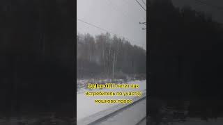 эд4мк-0111 летит как ласточка по участку мошково-порос #железнаядорога#train