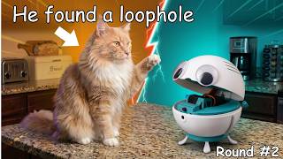 Der Roboter, der meine Katze davon abhält, auf die Küchenzeile zu springen: Upgrade
