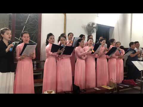 Video Hoa Nở Miền Cana |ST: Phanxico| Ca Đoàn Giáo Họ Cầu... - youtube
