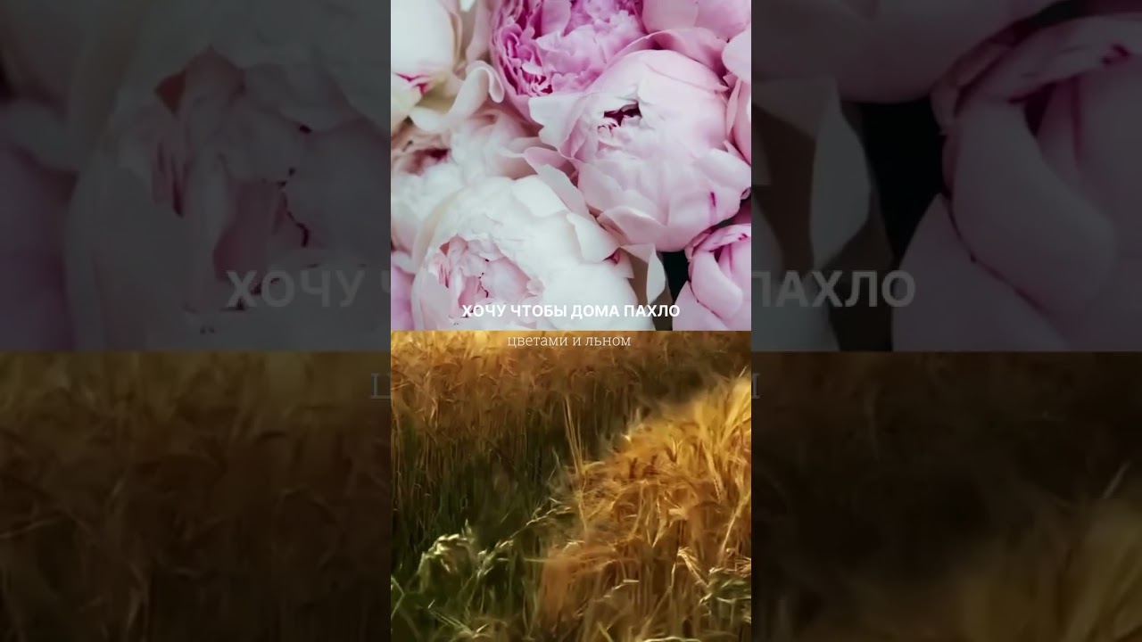 Каждый аромат способен пробудить в вас особые чувства и создать комфортную атмосферу🥰