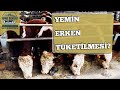 Yemin Erken Tüketilmesi Ne Anlama Gelir?