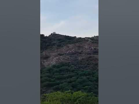 jadui pathar taragad pahad - YouTube