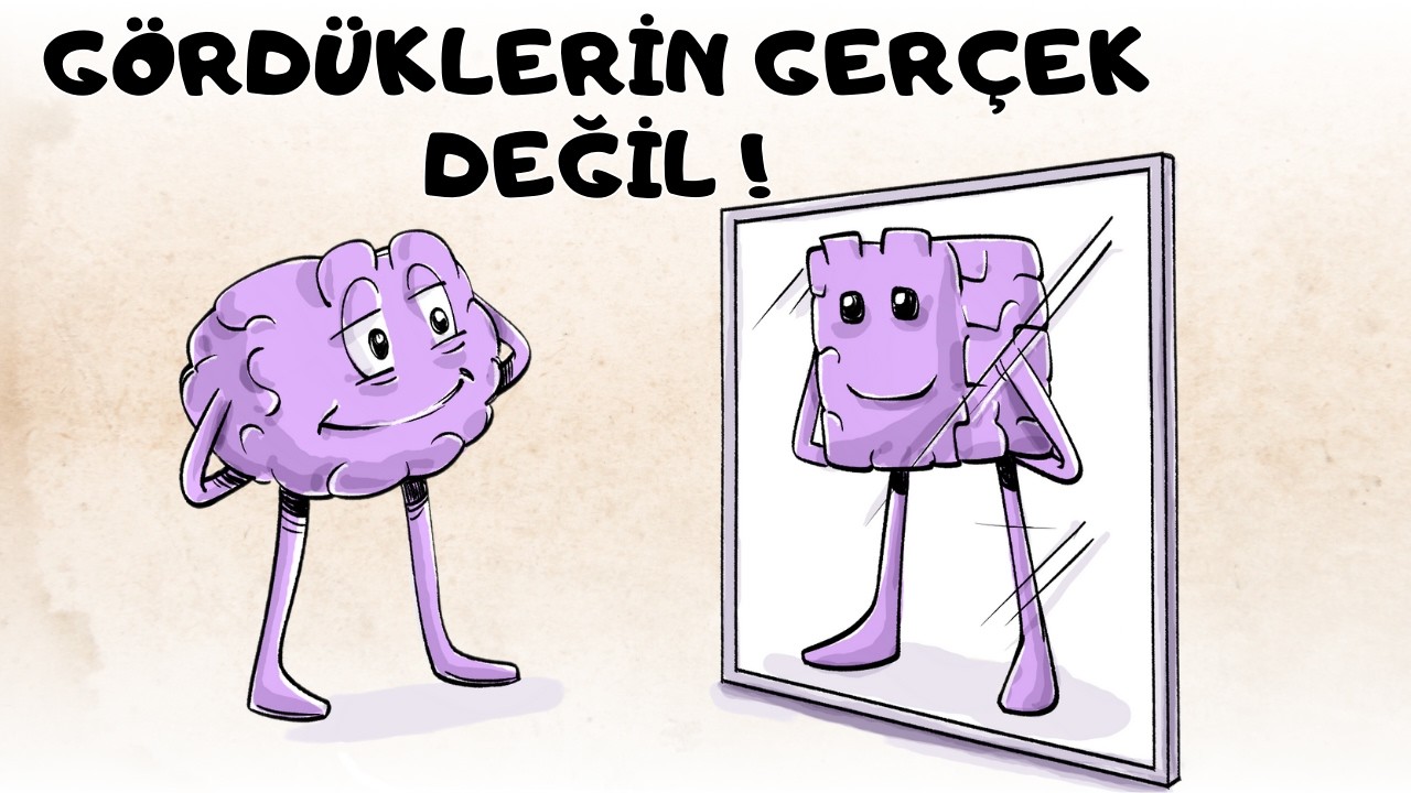 Müller-Lyer İllüzyonu