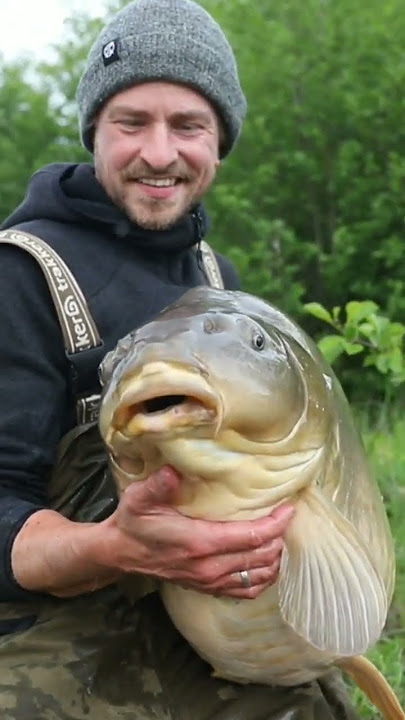 😱 Ikan Mas Terbesar di Dunia