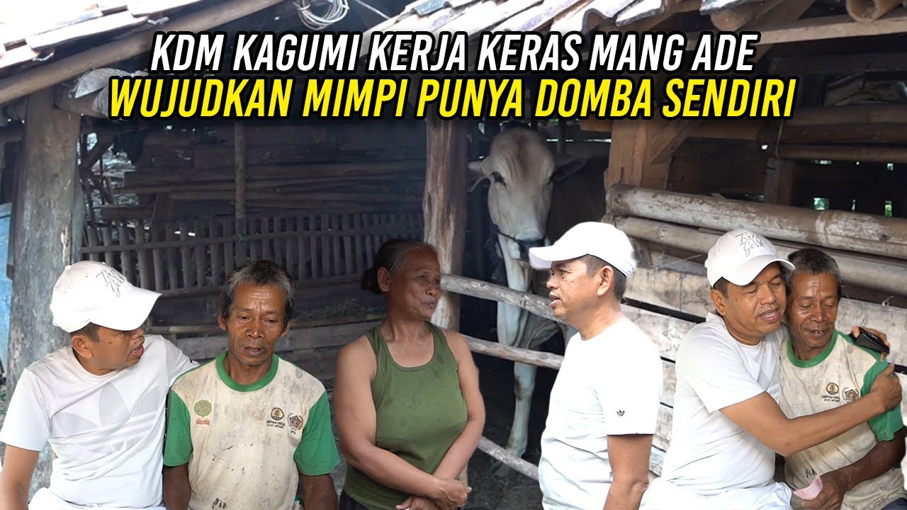 KAGUMI KERJA KERAS MANG ADE | KDM WUJUDKAN MIMPINYA PUNYA DOMBA SENDIRI