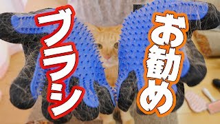 茶とらーずオススメの猫ブラシを紹介！各ブラシのメリット・デメリットとは？