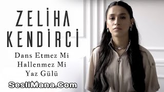 Zeliha Kendirci - Yaz Gülü (Remix) Resimi