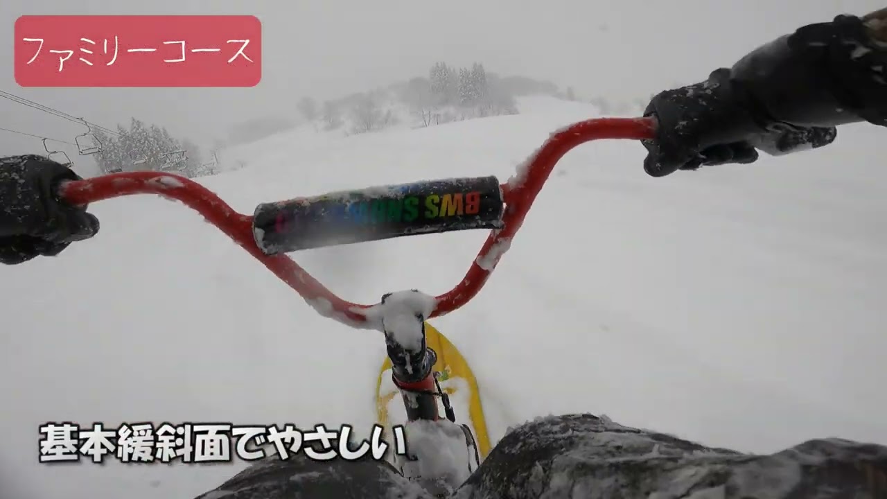シャトー塩沢　頂上から麓まで（一本杉ゲレンデ方面）2026年1月21日　スノーモト