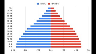 APES Creating Population Pyramids in Google Sheets