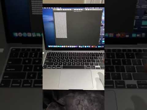 Wideo: 4 sposoby na wpisanie logo Apple (Mac i Windows)