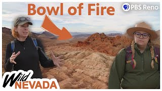 Seeing the Bowl of Fire from ALL Angles | Lake Mead | Wild Nevada