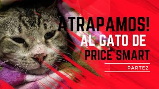 Atrapando al gato de Price Smart - Parte 2 - Visita al veterinario