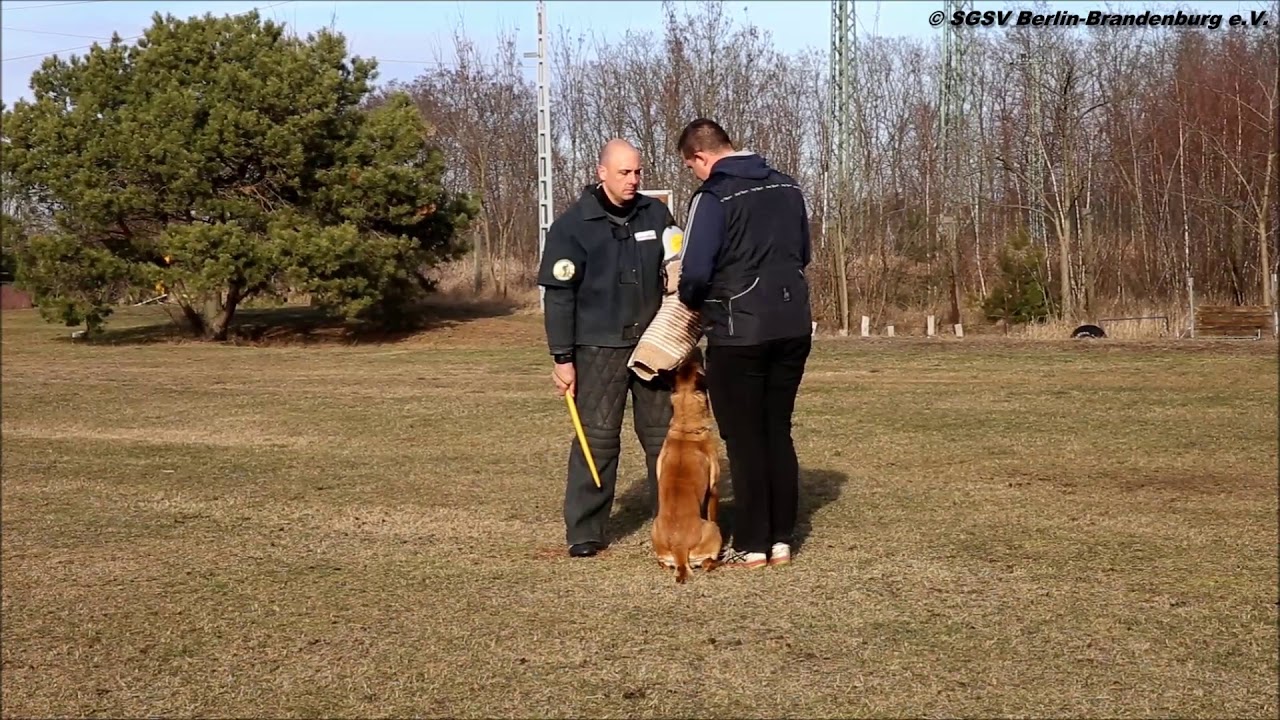 Schutzdienst IGP 1 Neue PO