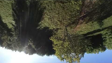 Tinyhawk II Freestyle with Insta360 GO