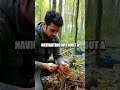 Mastering Nature: Essential Survival Skills