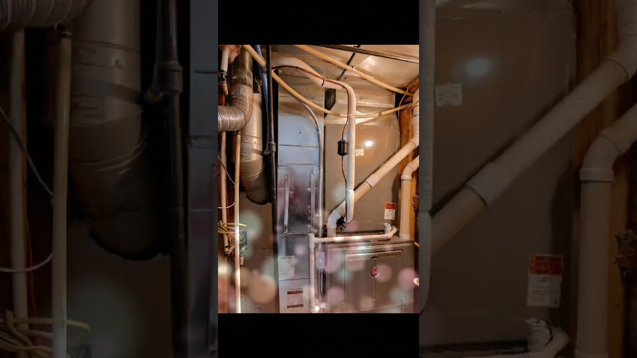 d98bb746-7999-4658-a71a-a255c46df6da