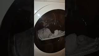 Bosch Serie 2 Washer Bosch Serie 6 Dryer At Work