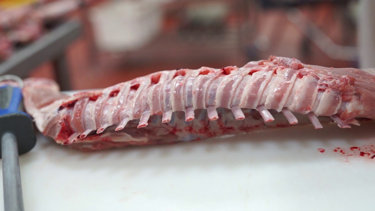 𝐂𝐎𝐌𝐎 𝐃𝐄𝐒𝐏𝐈𝐄𝐙𝐀𝐑 𝐔𝐍 𝐂𝐎𝐑𝐃𝐄𝐑𝐎 𝐋𝐄𝐂𝐇𝐀𝐋 🔪