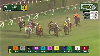 Vidéo de la course PMU PRIX OKEY GORI