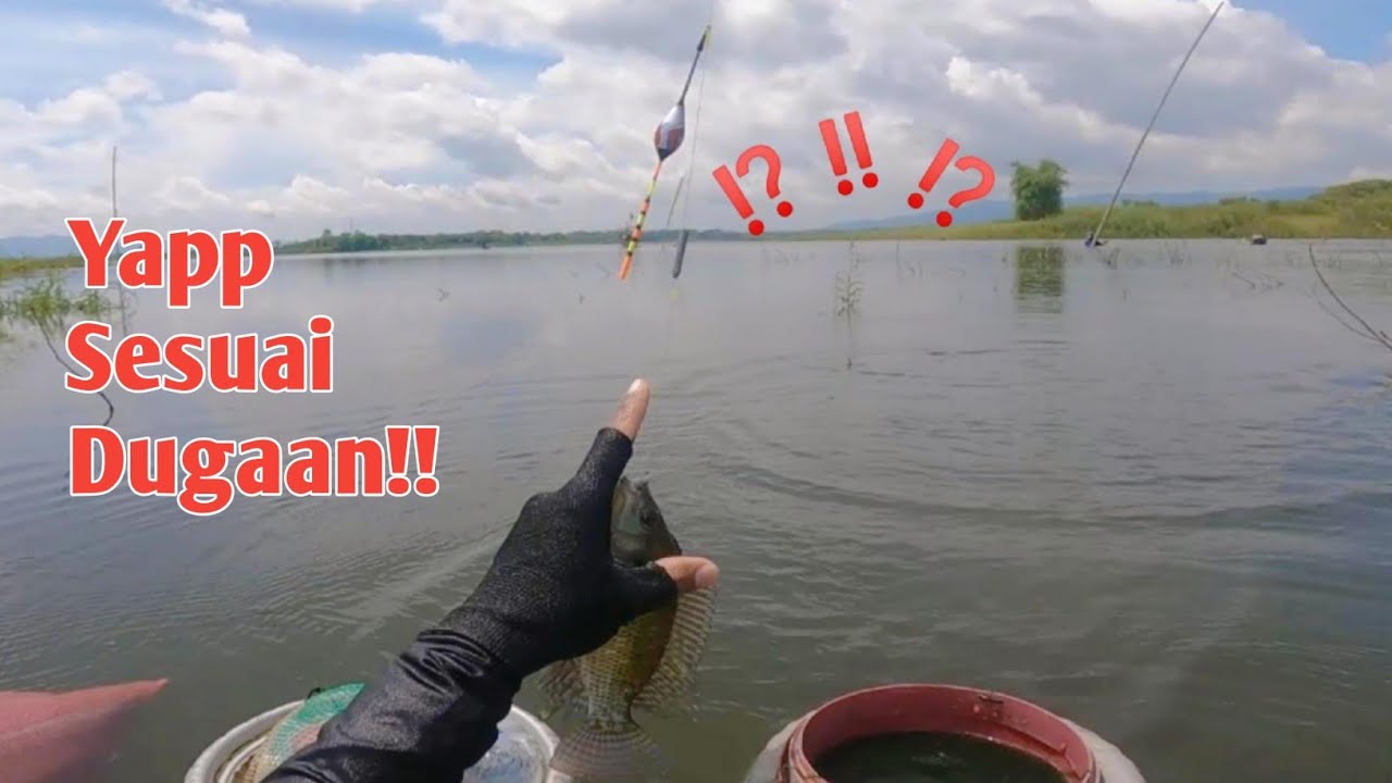 WGM || TUMBUHAN BERDURI SEPERTI INI, MENJADI TITIK KUMPULNYA IKAN