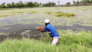 incredible Fishing|Fisher Man Catch With Rohu Fishes To Single Hook|We Used 7 Number Hook|Rohu Fish