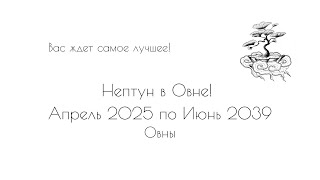 :  |        ?! |  2025 -  2039.