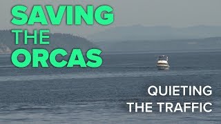 Saving the Orcas: Quieting the Traffic