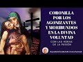 ✝️ CORONILLA POR LOS AGONIZANTES POR LOS MORIBUNDOS Y LOS AGONIZANTES EN LA DV/  HORAS DE LA PASIÓN