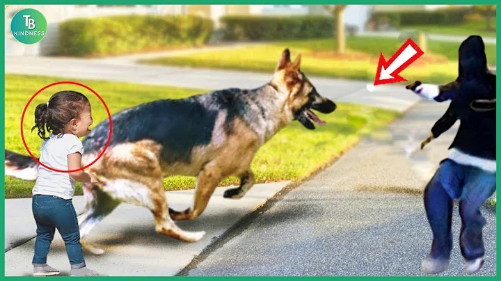 50 Hero Animals That Saved Human Lives | Best Moments of 2025 #4