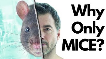 Why Mice are the best candidates for research?