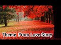 Theme from Love Story(Where Do I Begin) (Piano Cover - Kingshuk Gupta)