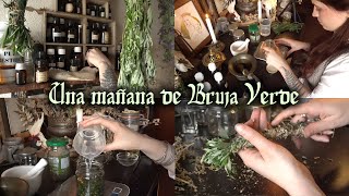 ¡POTINGUEA CONMIGO! 🌿📜 Preparados con hierbas mágicas 🌼 - Botica de la Bruja Verde II